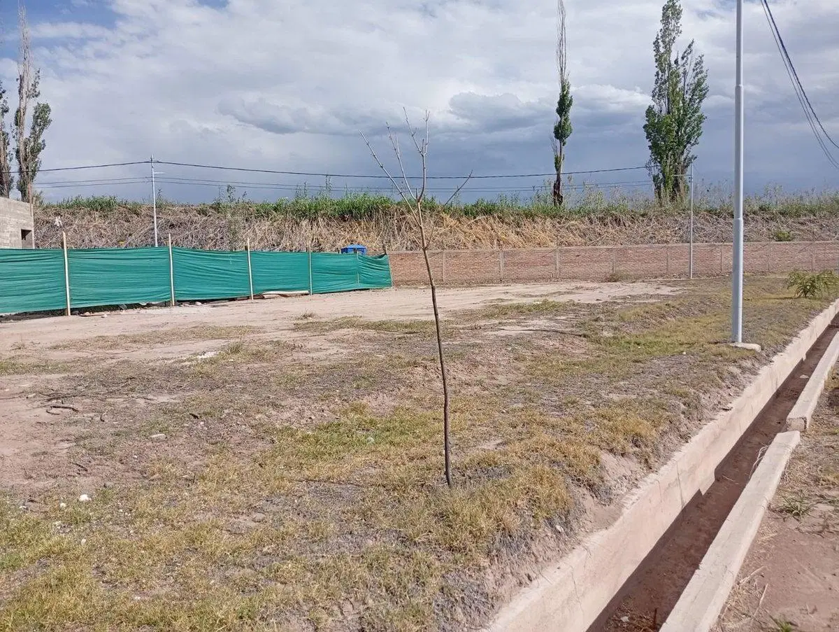LOTE AMPROS VI 4