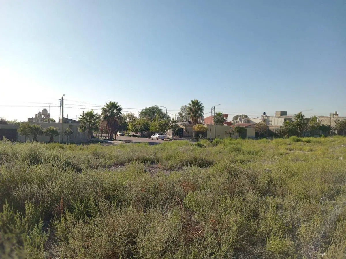 LOTE AMPLIO EL CHALLAO EN VENTA 4
