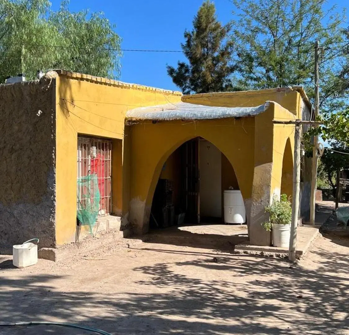VENTA FINCA 79 HA - SAN MARTIN - MENDOZA 4