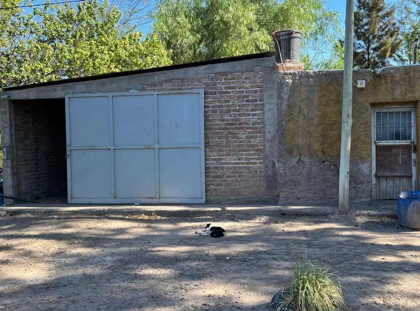 VENTA FINCA 79 HA - SAN MARTIN - MENDOZA 5