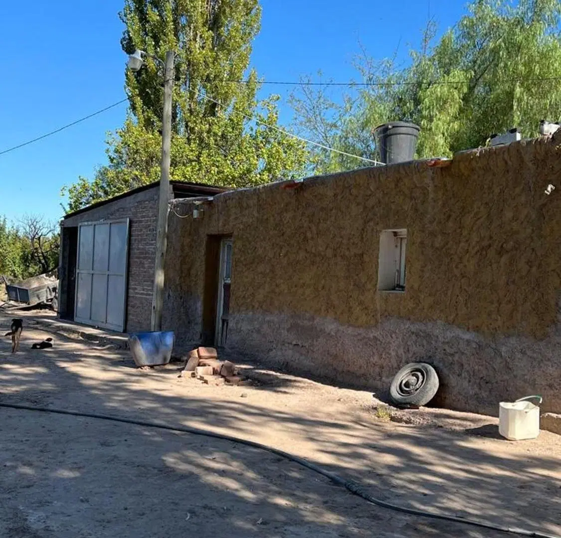 VENTA FINCA 79 HA - SAN MARTIN - MENDOZA 8