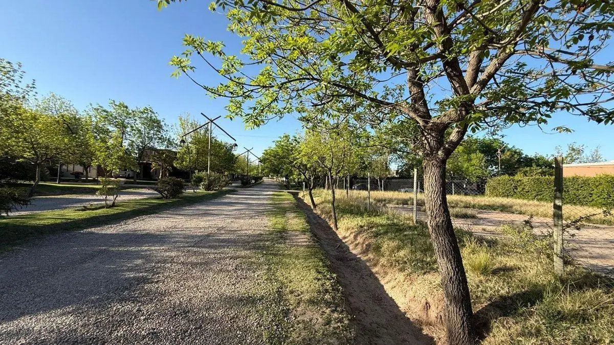 LOTE VENTA - VISTALBA - LUJÁN DE CUYO 3