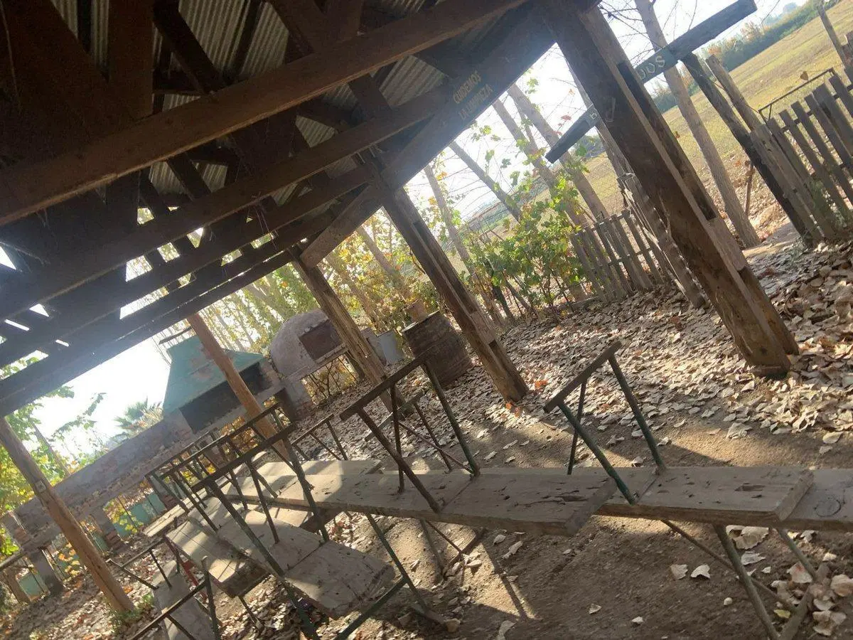 FINCA EN VENTA CORRALITOS, EN PRODUCCION 3
