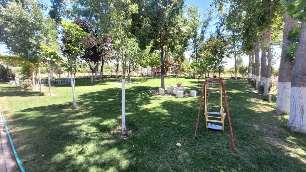 FINCA EN PRODUCCION SAN MARTIN - MENDOZA 5
