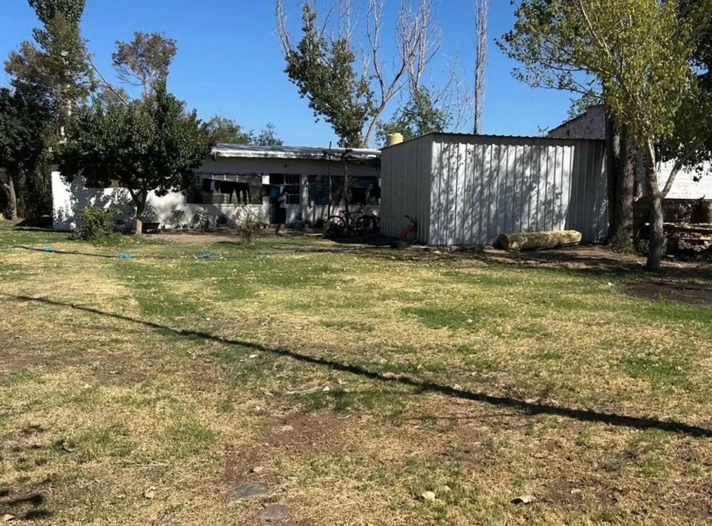 FINCA DE 25 Ha EN PRODUCCIÓN DE AJO 4