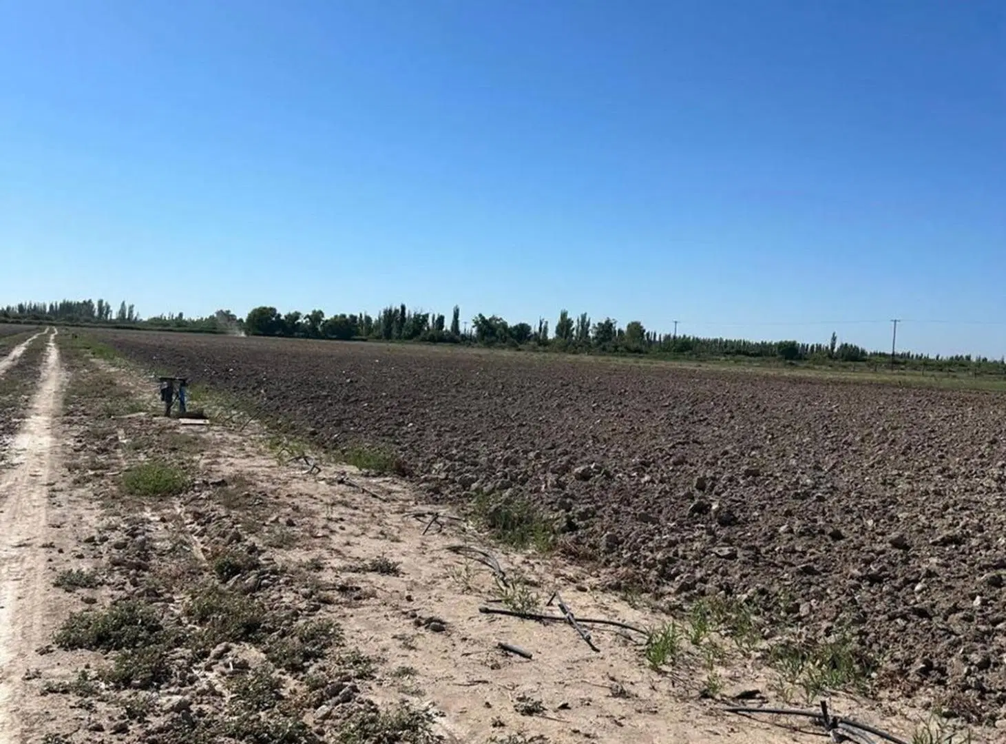 FINCA DE 25 Ha EN PRODUCCIÓN DE AJO 8