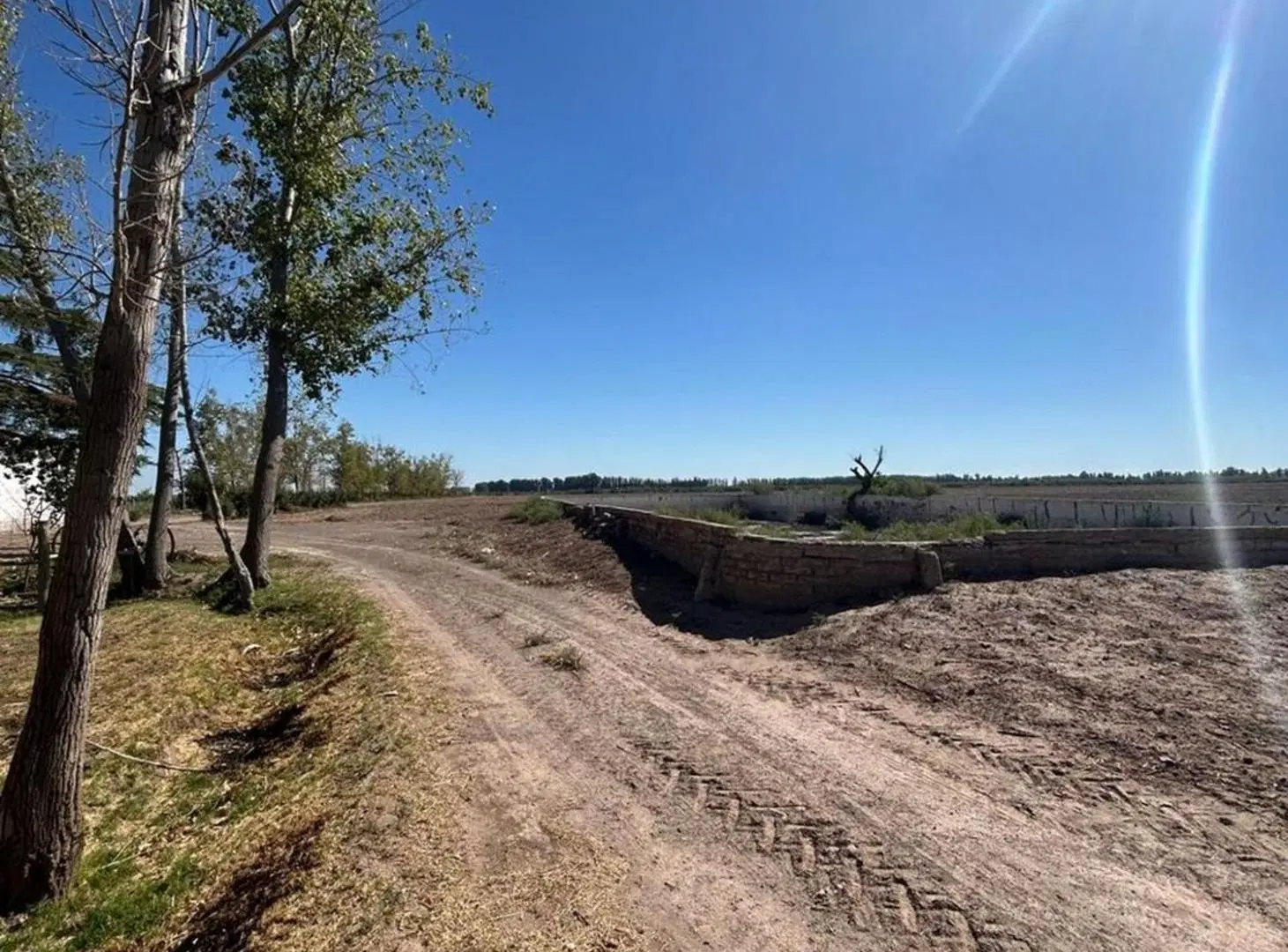 FINCA DE 25 Ha EN PRODUCCIÓN DE AJO 2