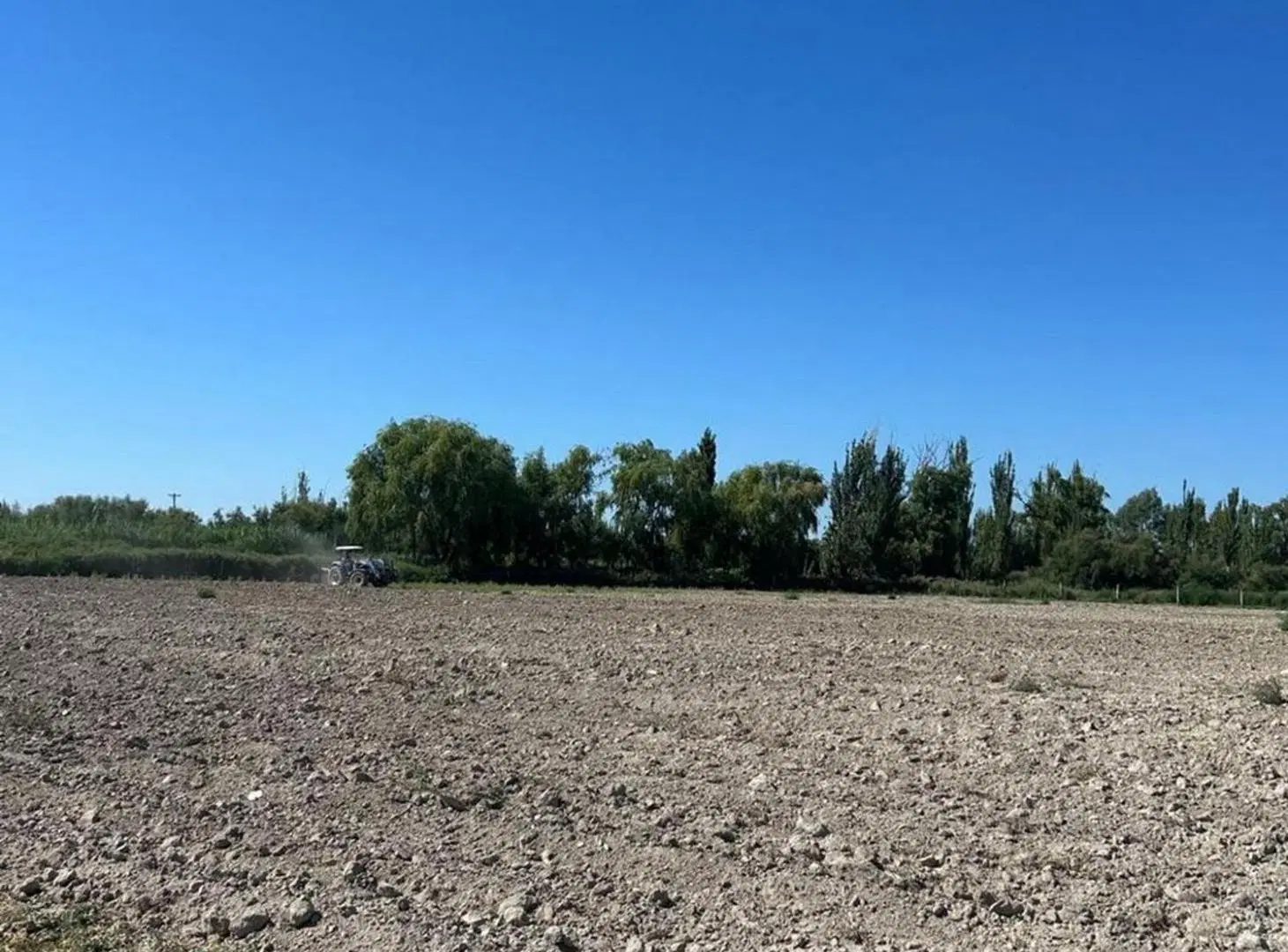 FINCA DE 25 Ha EN PRODUCCIÓN DE AJO 5