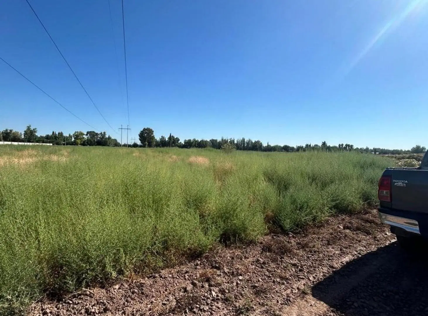 FINCA DE 7,5 HECTAREAS EN COLONIA SEGOVIA 4