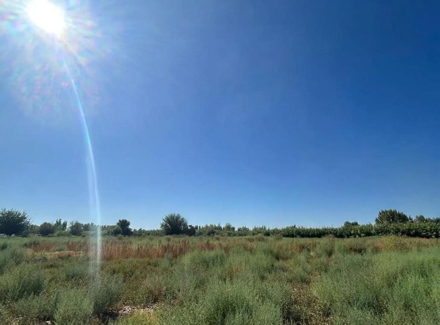 FINCA DE 7,5 HECTAREAS EN COLONIA SEGOVIA 5