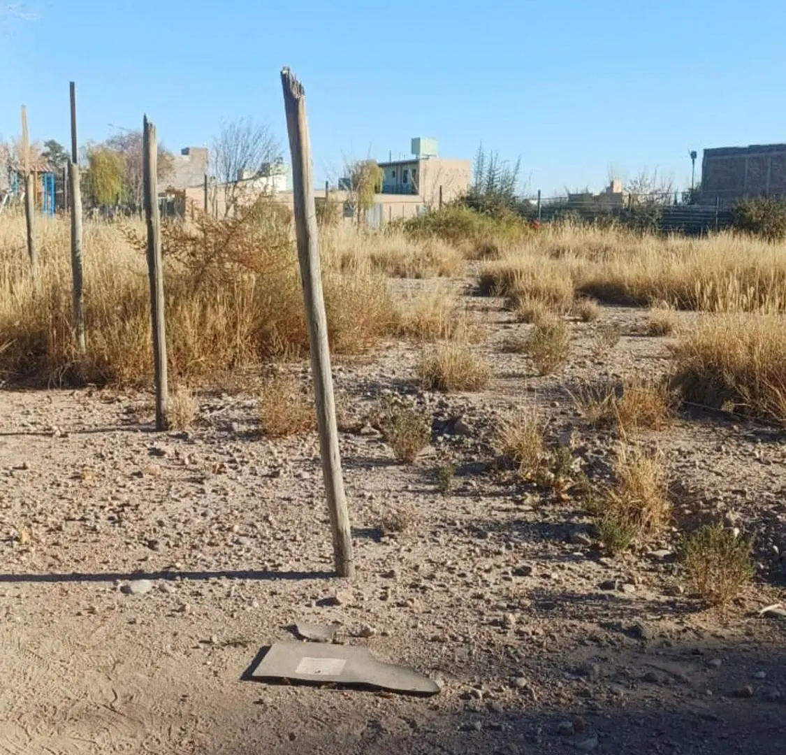 Terreno Juan Jose Paso 5