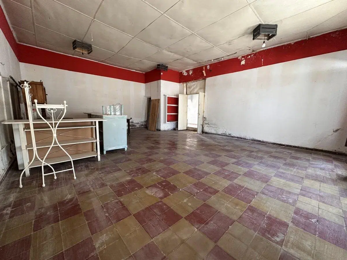 VENTA DE CASA, LOCAL Y DPTO EN AV. ALEM PALMIRA 5