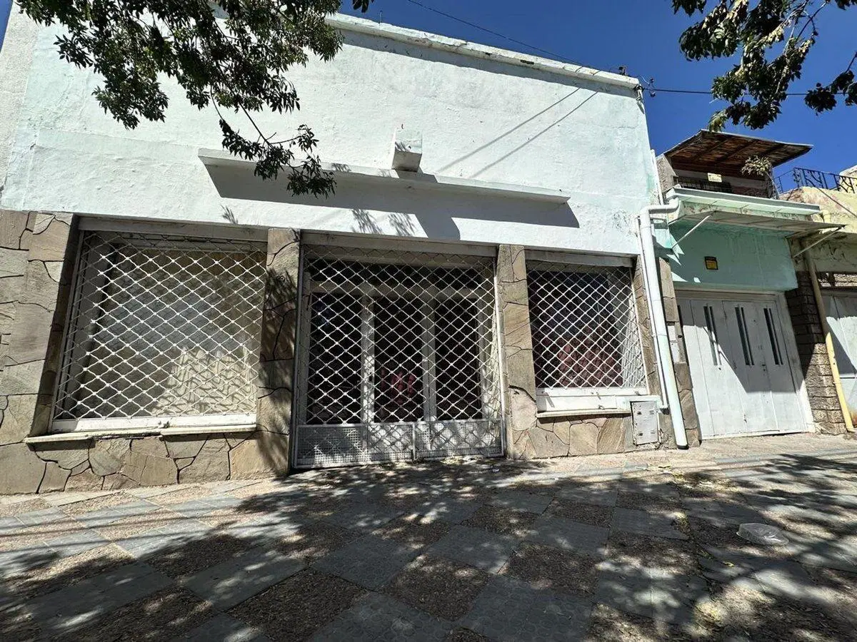 VENTA DE CASA, LOCAL Y DPTO EN AV. ALEM PALMIRA 2