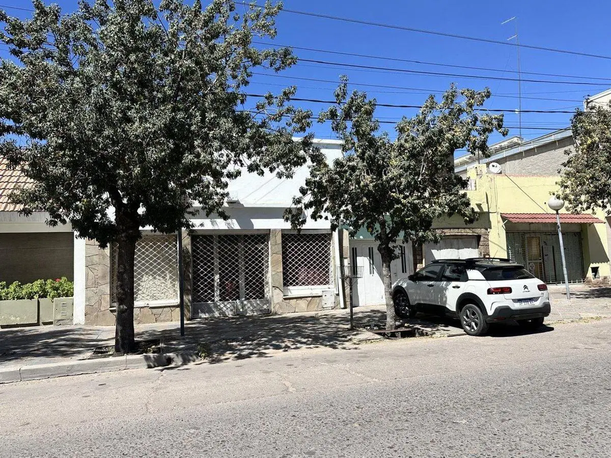 VENTA DE CASA, LOCAL Y DPTO EN AV. ALEM PALMIRA 4