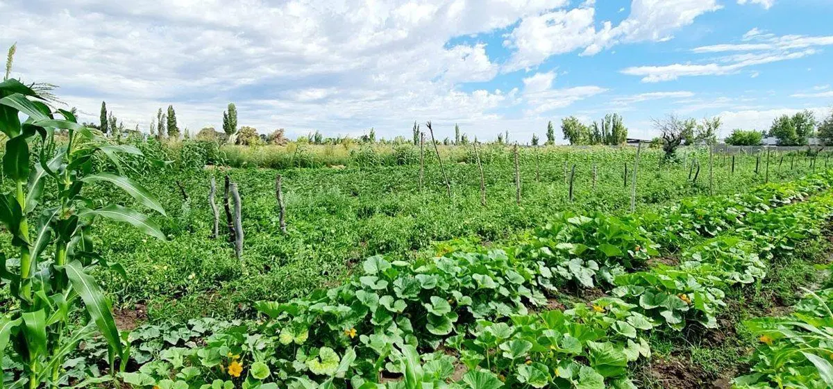 VENTA FINCA 5,8 HECTAREAS CORRALITOS GUAYMALLEN 5