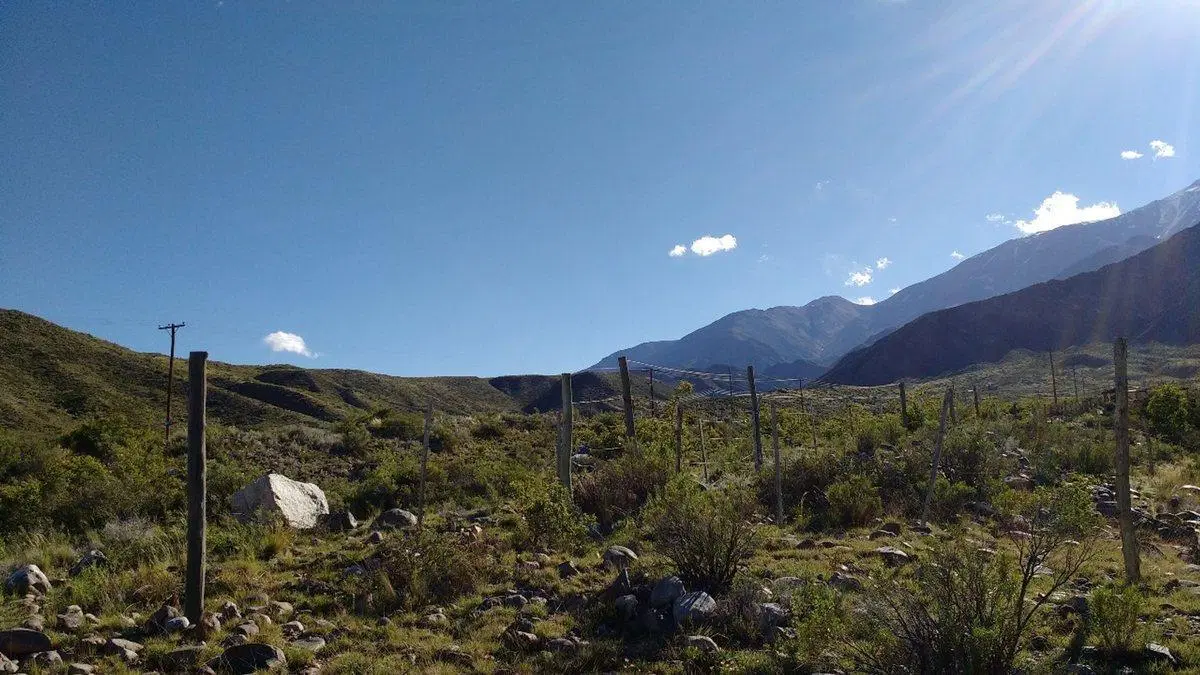 LOTE EN VENTA POTRERILLOS MENDOZA 2