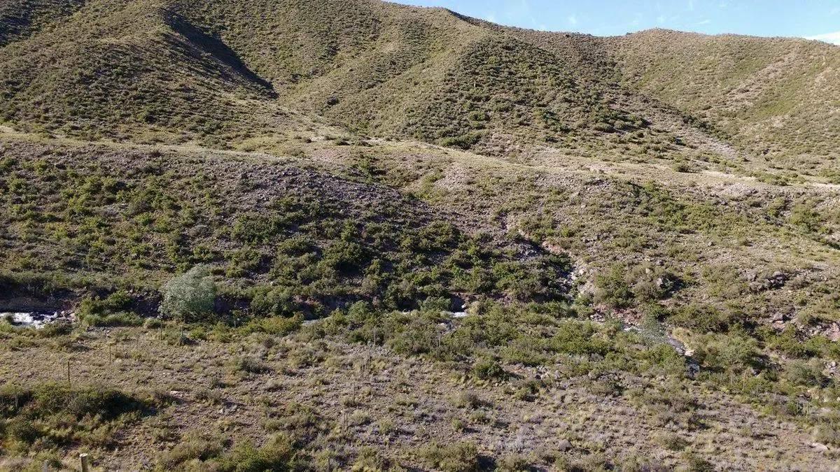 LOTE EN VENTA POTRERILLOS MENDOZA 4