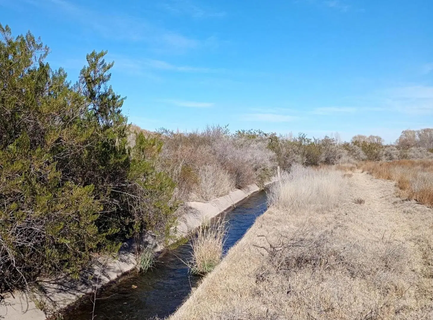 FINCA EN VENTA VALLE DE UCO NOGALES, FORRAJERIA 4