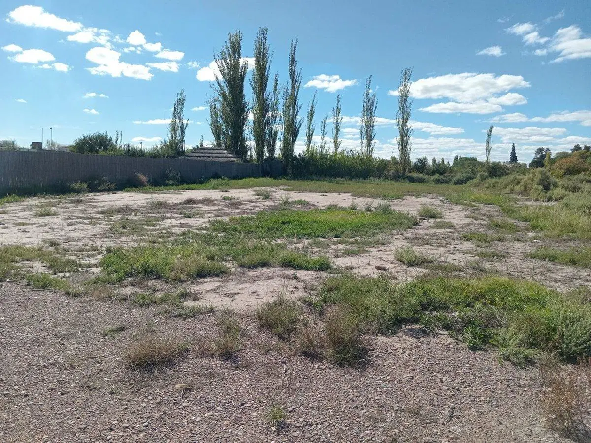 LOTE EN BUEN ORDEN SAN MARTÍN 5