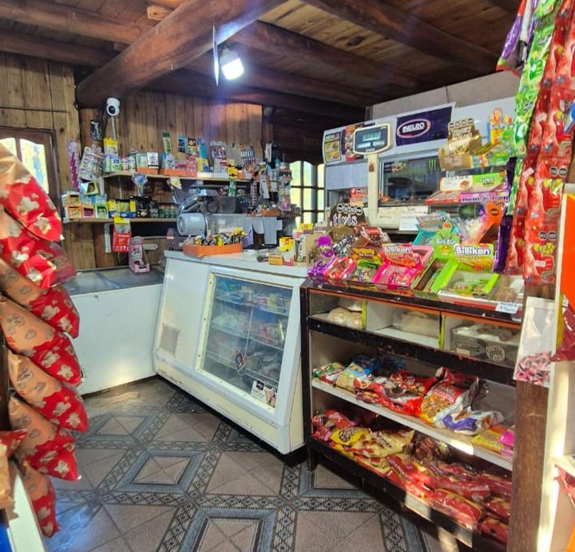 Foto de VENTA LOCAL COMERCIAL Y CASA S/RUTA 82–CACHEUTA, imagen 3