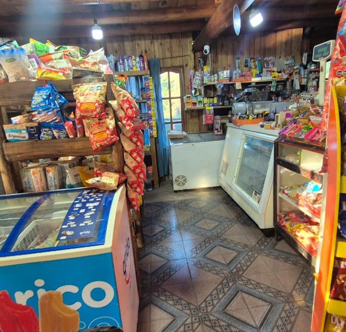 Foto de VENTA LOCAL COMERCIAL Y CASA S/RUTA 82–CACHEUTA, imagen 5