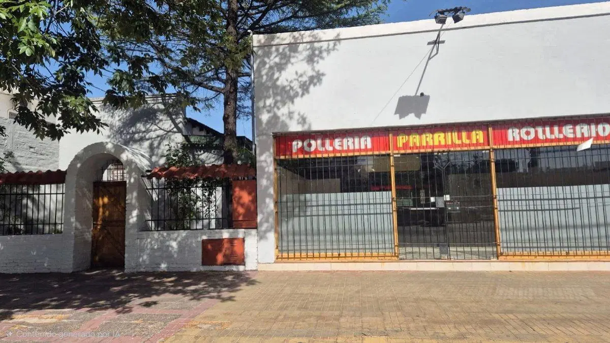 VENTA PROPIEDAD COMERCIAL-AV M. MORENO -SAN RAFAEL 4