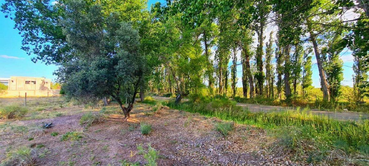 Foto de VENTA 9 LOTES EN BLOQUE EN LAS PAREDES, SAN RAFAEL, imagen 4
