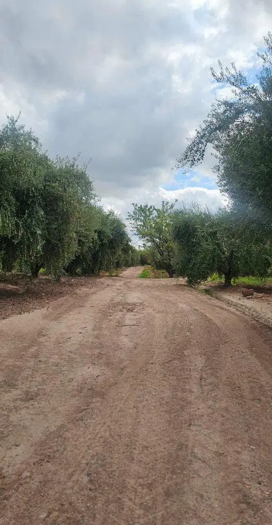 Terreno en Venta en Zona Industrial, Maipú 5