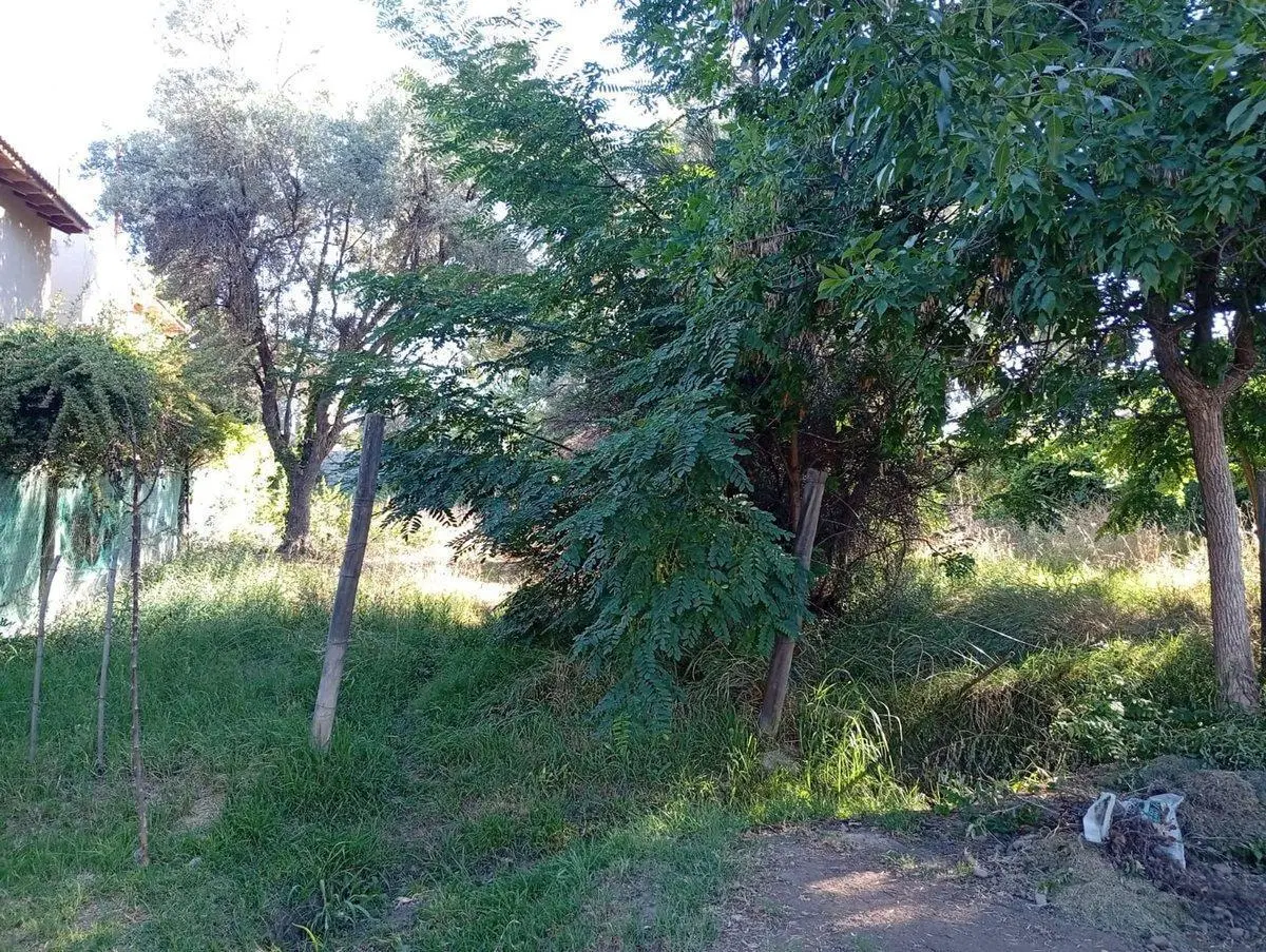 LOTE PUEYRREDÓN Y PARAISO CHACRAS DE CORIA 8