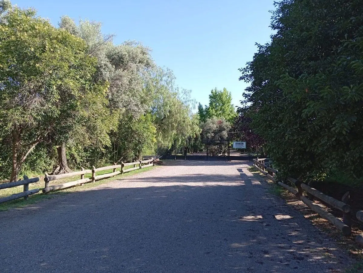 LOTE PUEYRREDÓN Y PARAISO CHACRAS DE CORIA 1