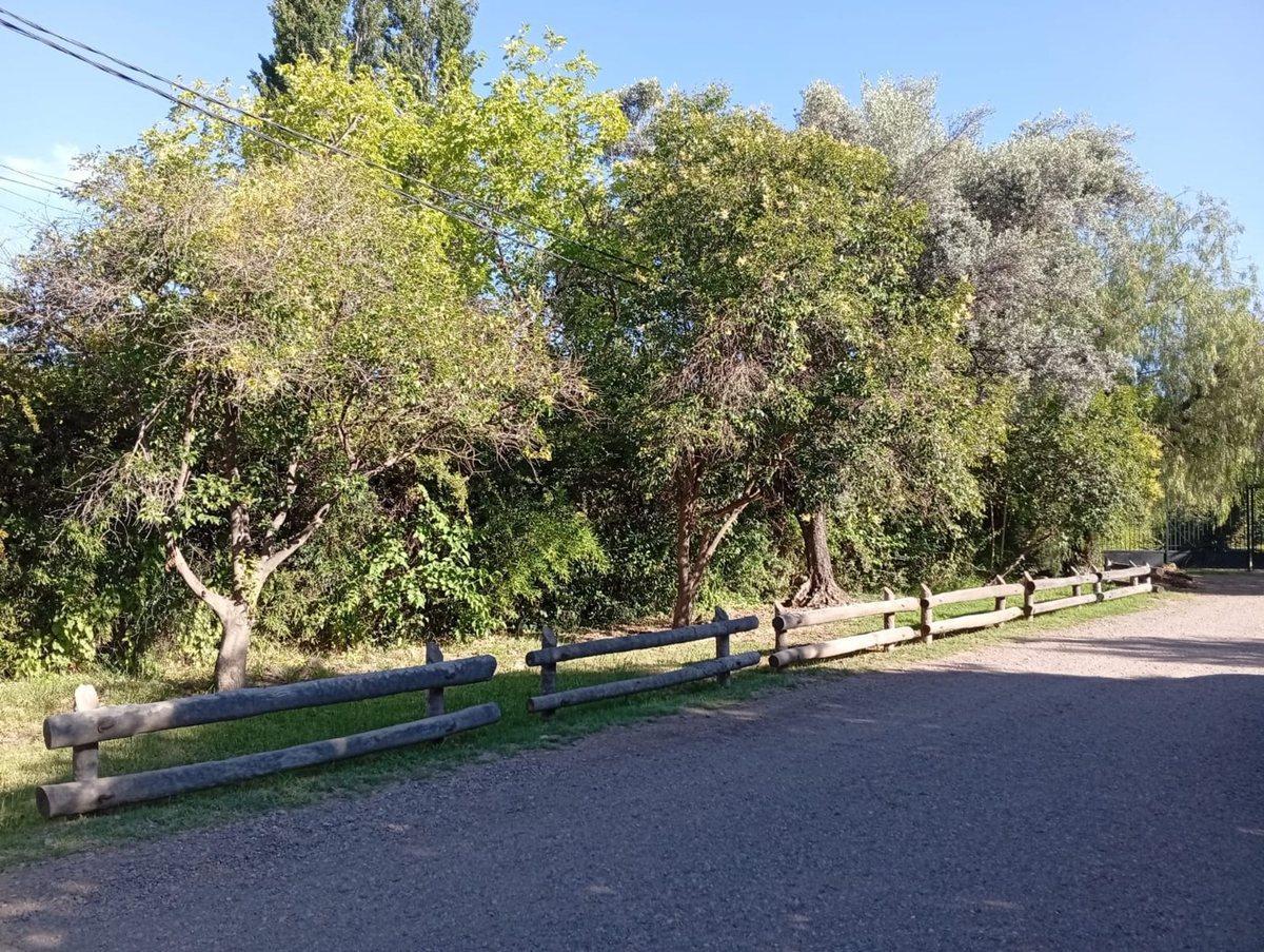 Foto de LOTE PUEYRREDÓN Y PARAISO CHACRAS DE CORIA, imagen 4
