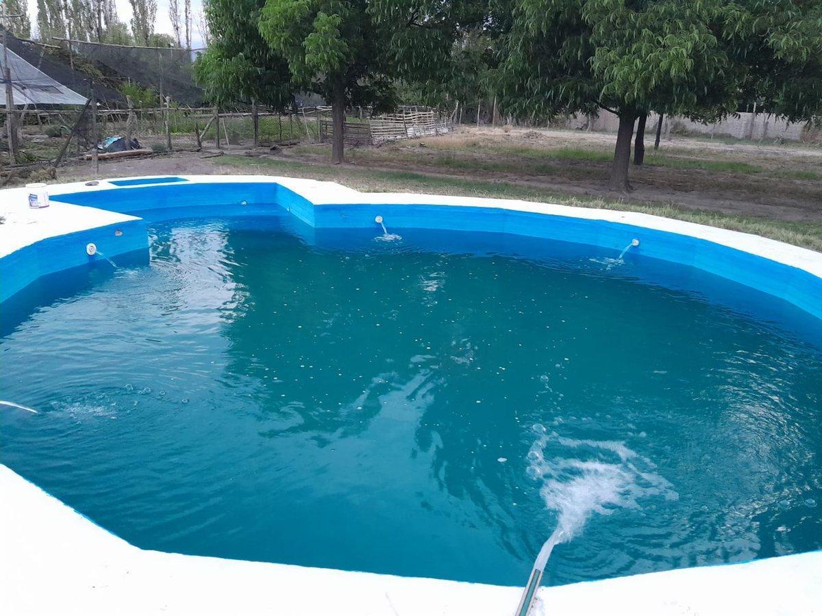 Foto de VENTA CASA QUINTA C/PILETA Y FRUTALES-RAMA CAIDA, imagen 5