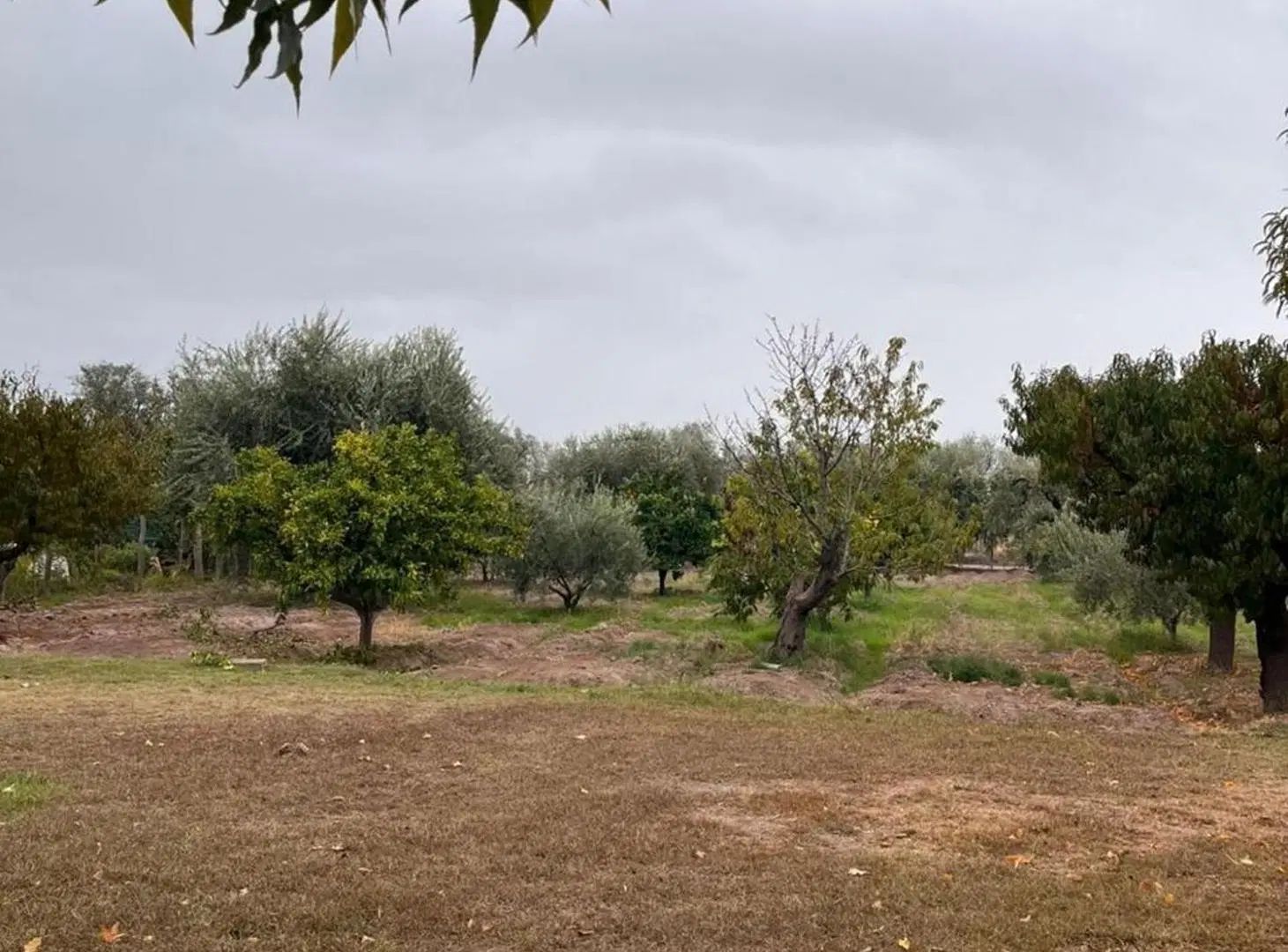 QUINTA EN VENTA 2