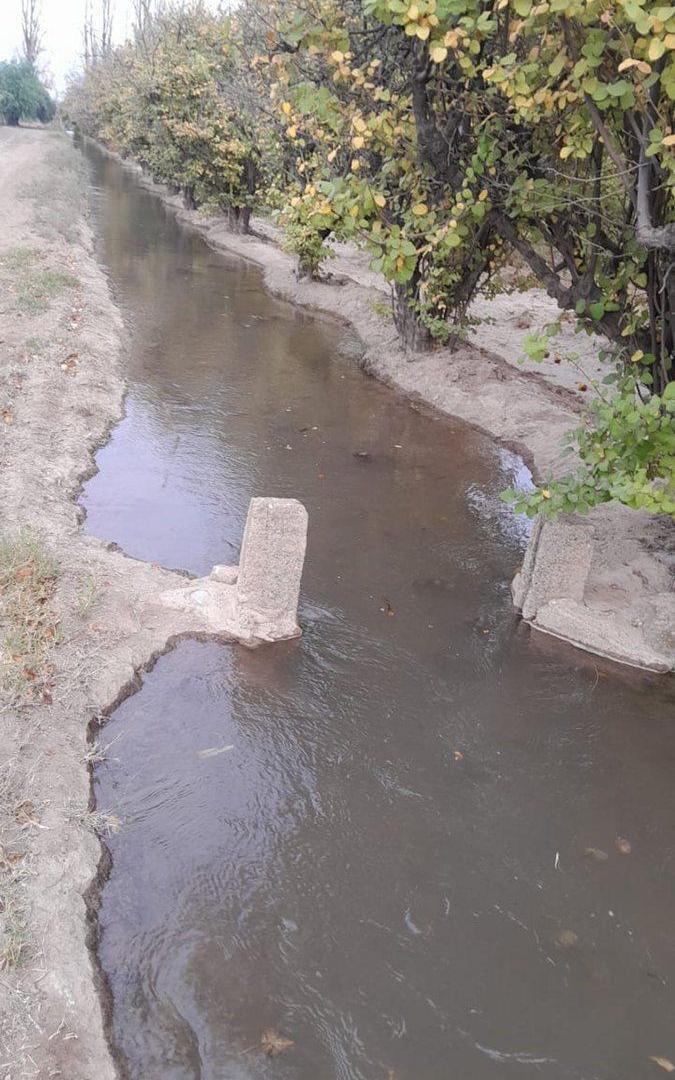 Foto de Finca Membrillera en Lavalle, imagen 2