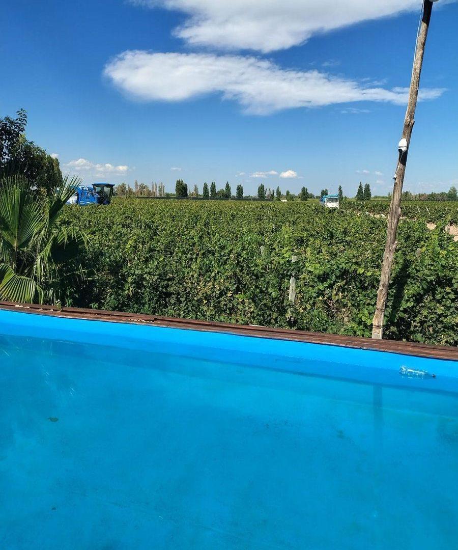 Foto de Venta de Finca en producción., imagen 1
