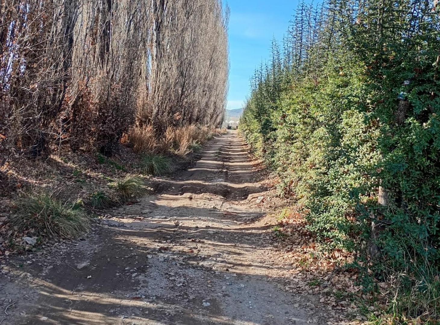 Foto de Terreno para Galpon de Empaque y Frutas con Frio, imagen 5