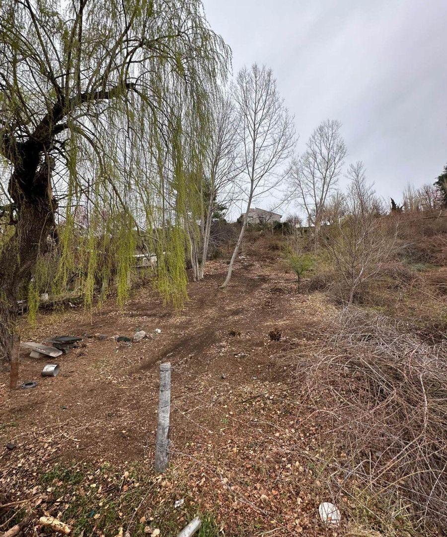 Foto de Venta de Lote en Potrerillos, imagen 4