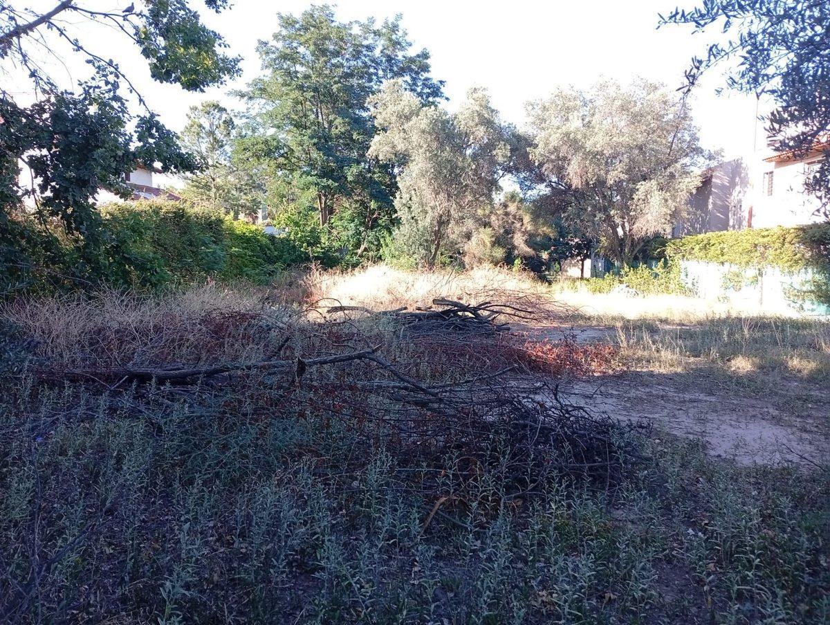 Foto de LOTE PUEYRREDÓN Y PARAISO CHACRAS DE CORIA, imagen 3