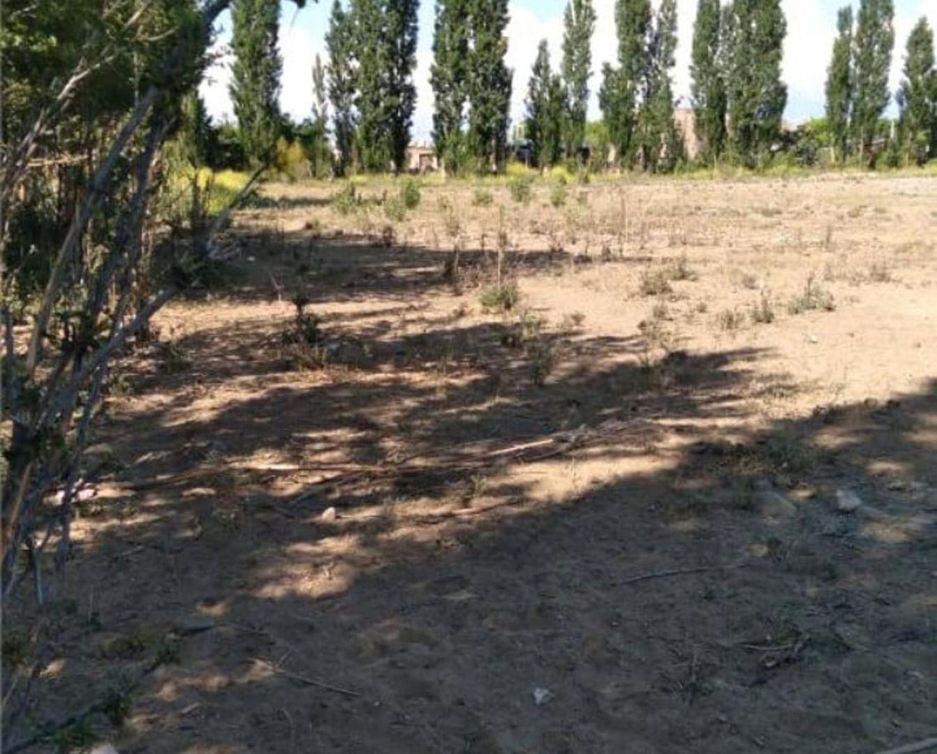 Foto de Lotes para tu cabaña de fin de Semana en Tupungato, imagen 1