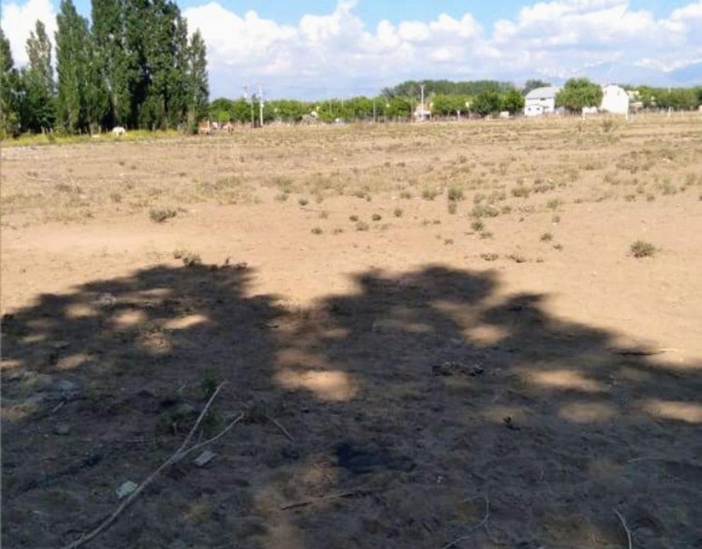 Foto de Lotes para tu cabaña de fin de Semana en Tupungato, imagen 4