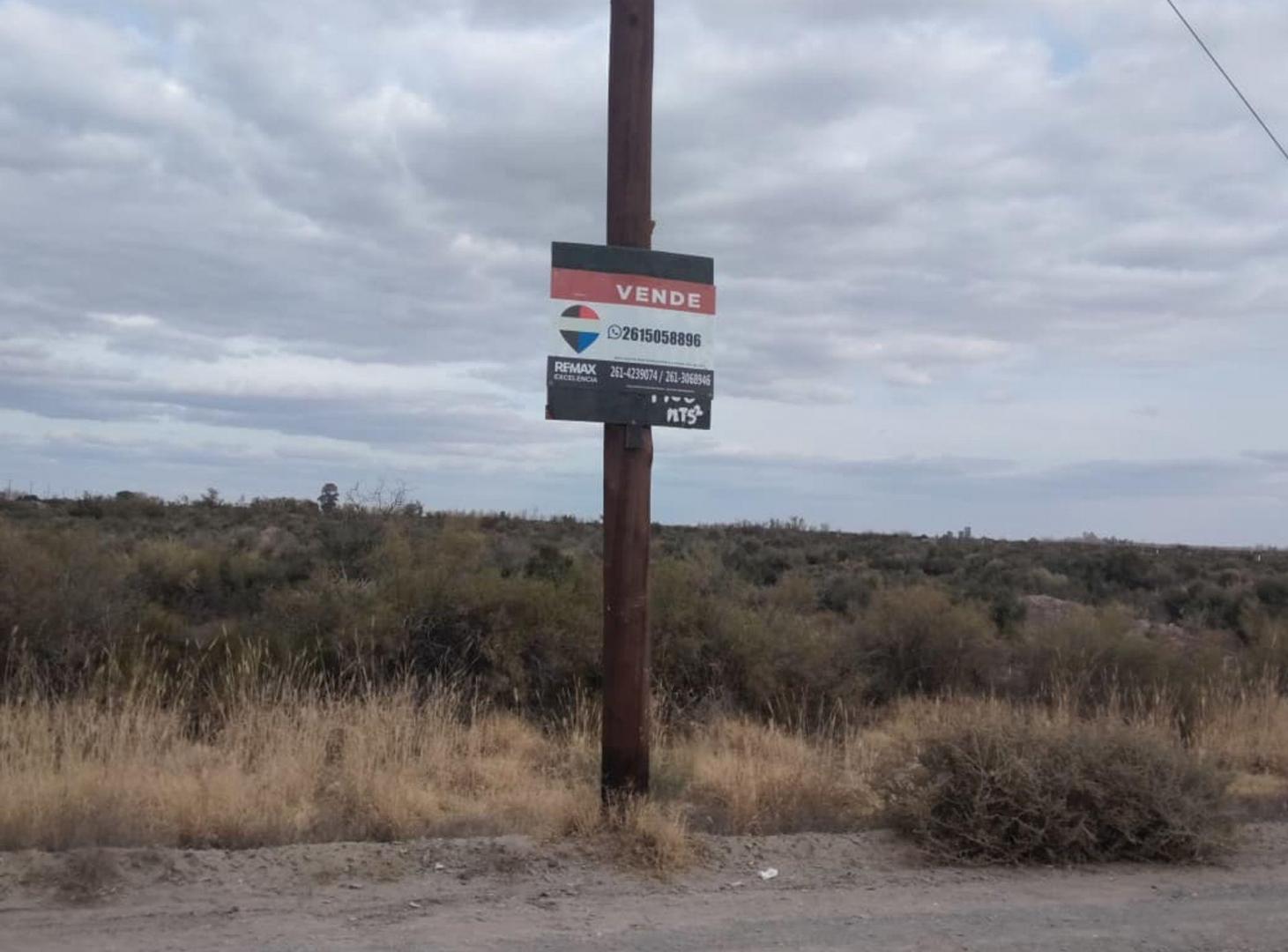 Foto de VENTA DE TERRENO 9998 M2, SAN MARTIN, imagen 5