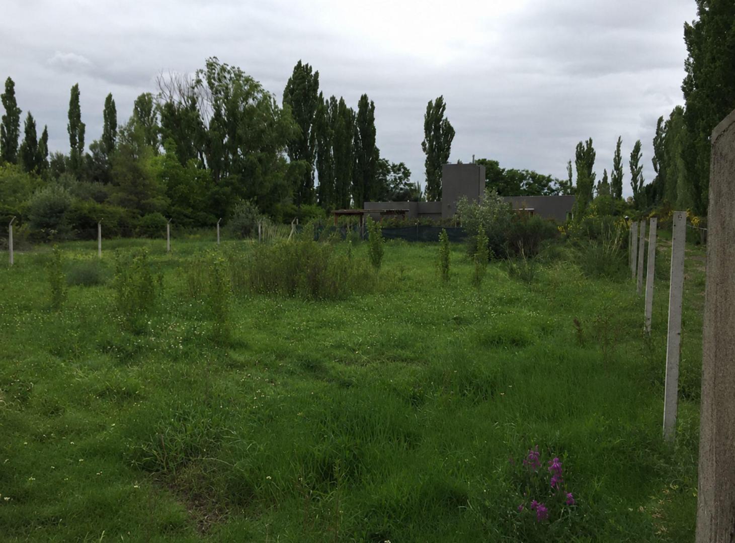Foto de TERRENO EN VENTA 1250mts CHACRAS DE CORIA, imagen 5