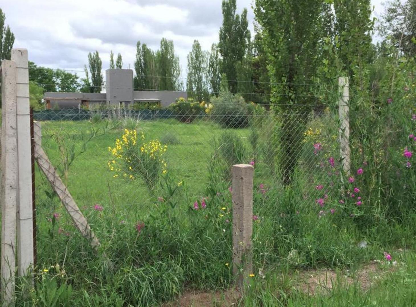 Foto de TERRENO EN VENTA 1250mts CHACRAS DE CORIA, imagen 2