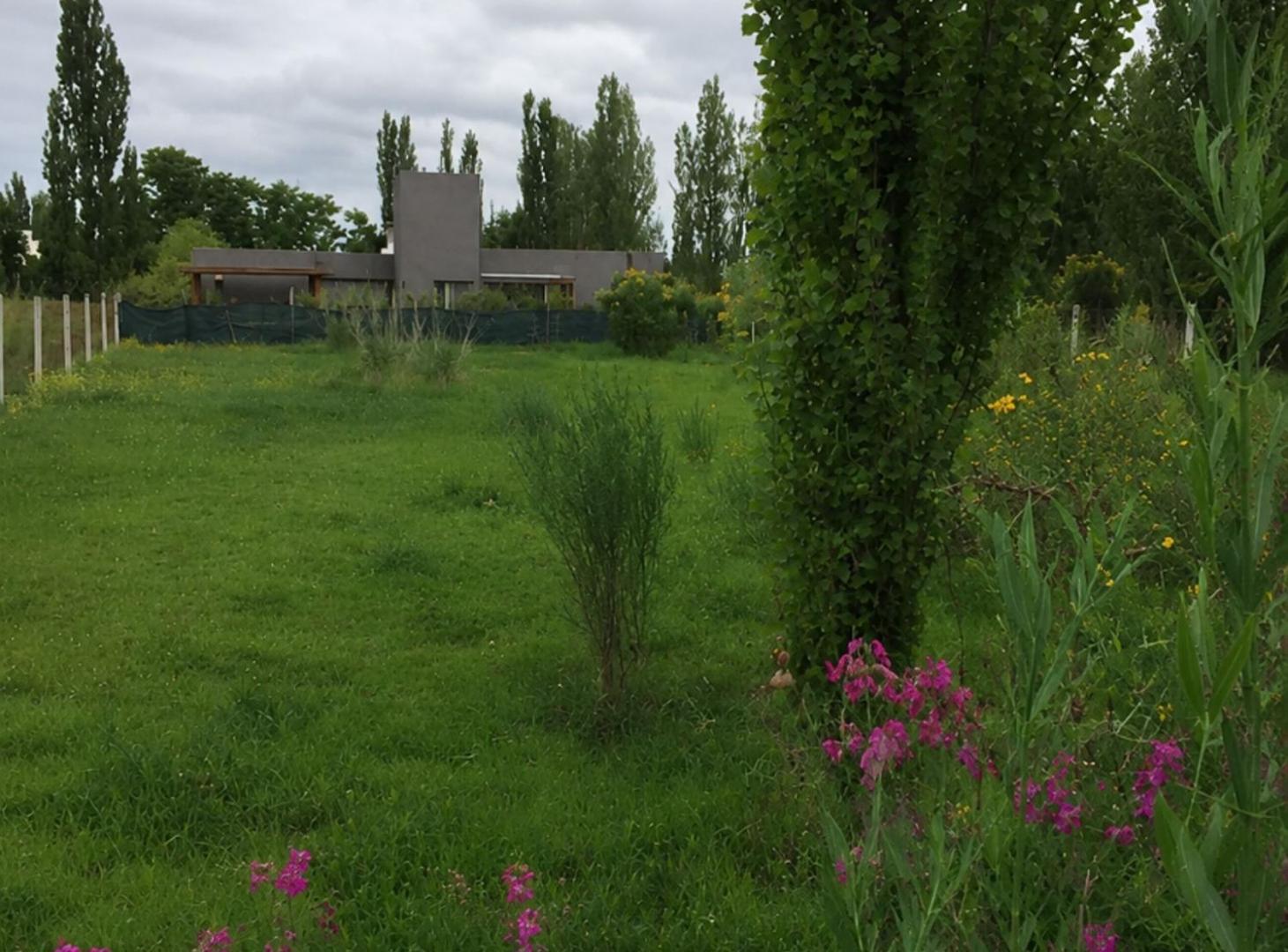 Foto de TERRENO EN VENTA 1250mts CHACRAS DE CORIA, imagen 3