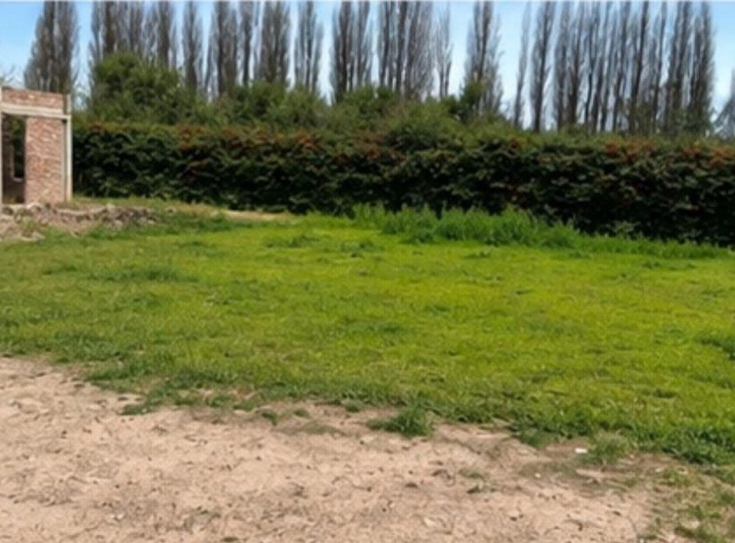Foto de LOTE CON PILETA - LUNLUNTA - MAIPU, imagen 5