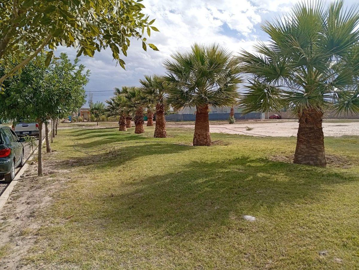 Foto de LOTE AMPROS VI, imagen 4