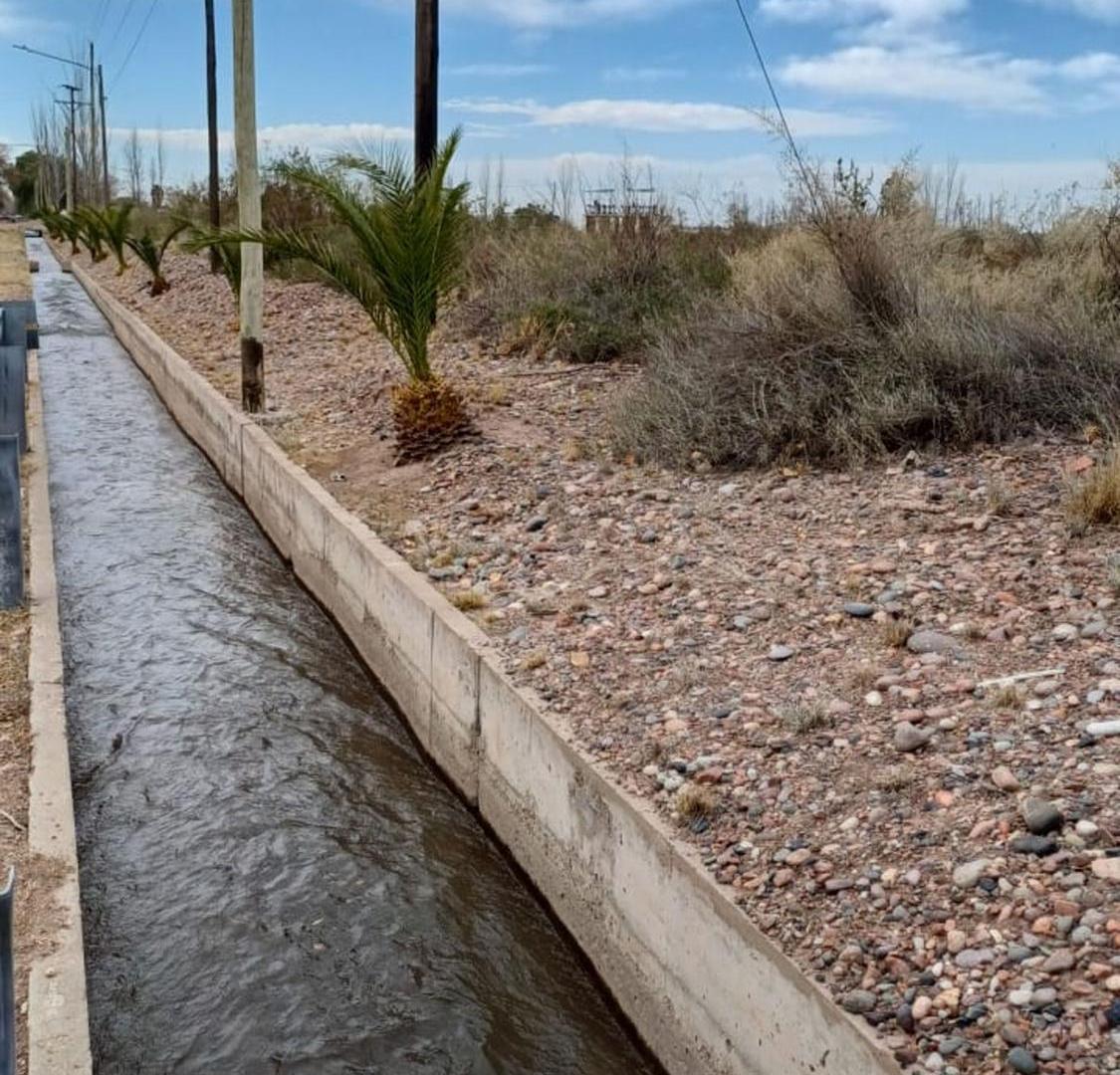 Foto de Campo en Cruz de Piedra Maipu apto para cultivo, imagen 2