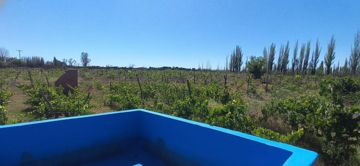 Foto de VENTA FINCA GRAN POTENCIAL PRODUCTIVO SAN RAFAEL, imagen 3