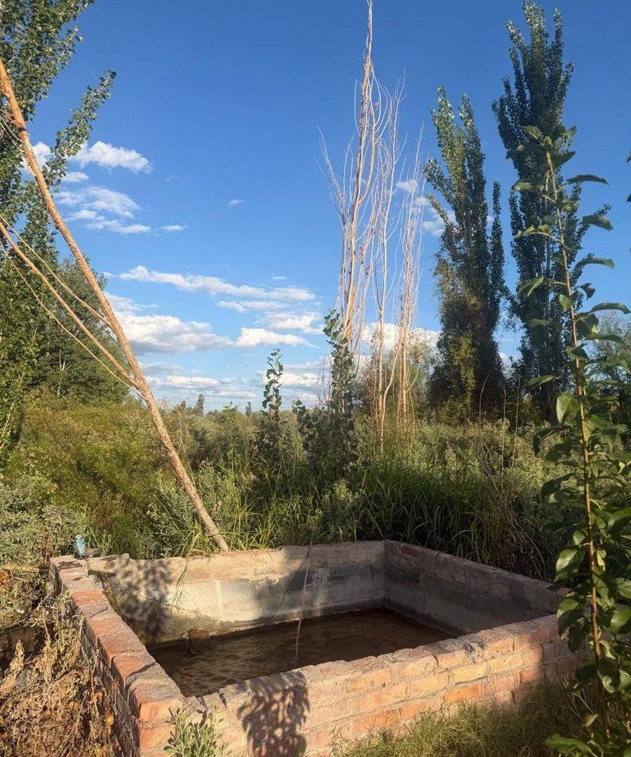 Foto de EXCLUSIVA FINCA CON POZO SURGENTE, PROPIO, imagen 3