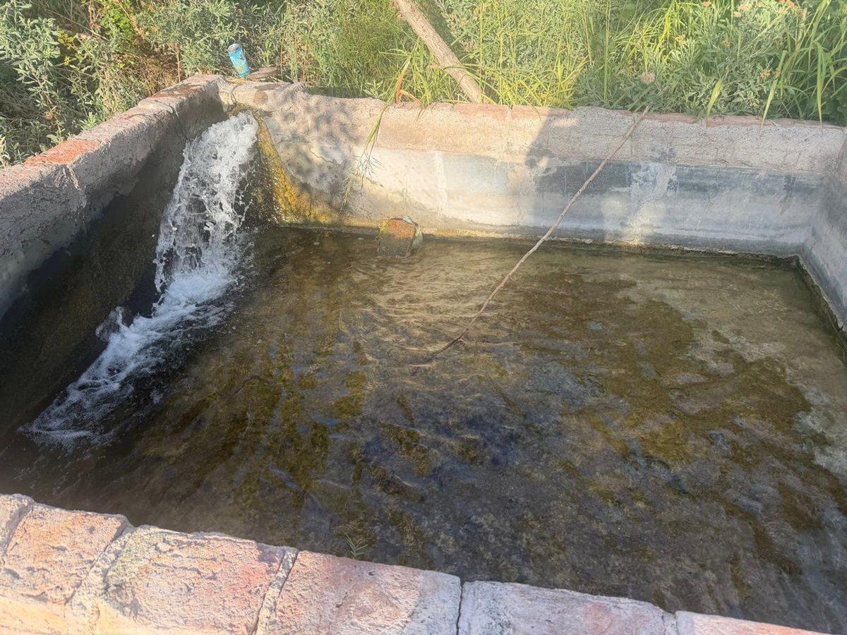 Foto de EXCLUSIVA FINCA CON POZO SURGENTE, PROPIO, imagen 1